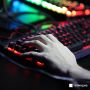 Казань примет киберспортивный чемпионат по Mobile Legends на Кубок Раиса РТ