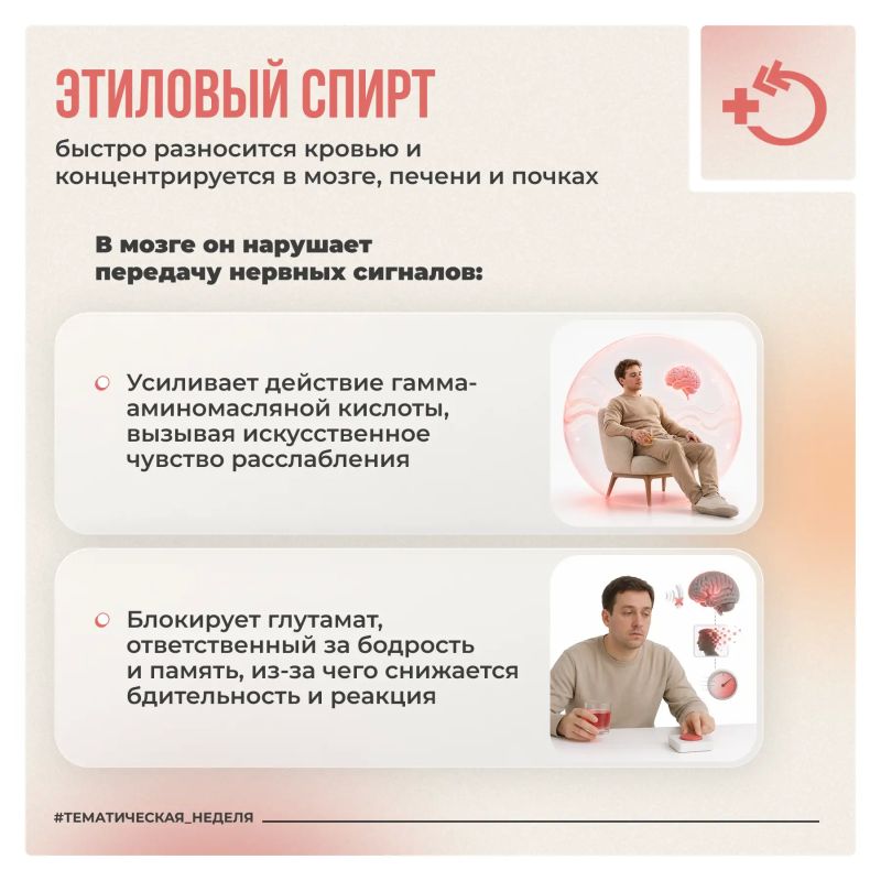 Алкоголь попадает в кровь за считанные секунды и беспрепятственно проникает через защитный барьер мозга, напрямую вмешиваясь в работу центральной нервной системы Алкоголь попадает в кровь за считанные секунды и беспрепятственно проникает через защитный барьер мозга, напрямую вмешиваясь в работу центральной нервной системы