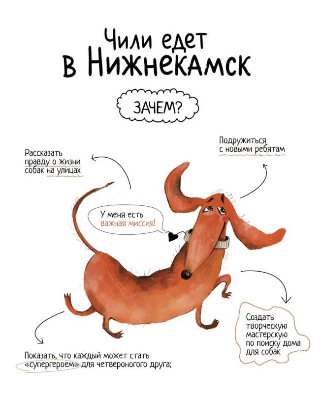 Добрые лапы: в Нижнекамске детей научат заботиться о собаках Добрые лапы: в Нижнекамске детей научат заботиться о собаках