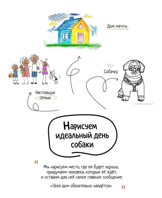 Добрые лапы: в Нижнекамске детей научат заботиться о собаках Добрые лапы: в Нижнекамске детей научат заботиться о собаках