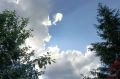 � ���������� �������� ����� ������������ ���������� 19 �������