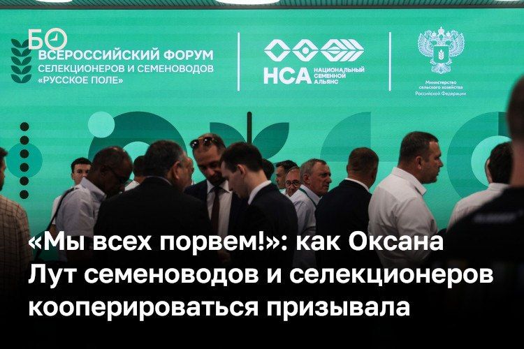 «У нас есть хорошие сорта-гибриды, я считаю, что наши селекционеры большие молодцы, это просто рывок за последние годы. Но хозяйства все равно покупают контрафакт», — сетовала глава минсельхоза РФ Оксана Лут на казанском...