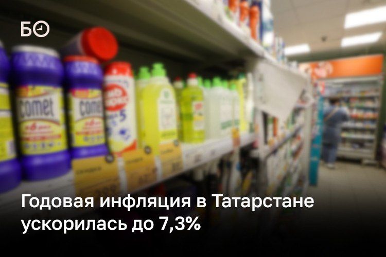 Годовая инфляция в Татарстане в июле составила 7,3%, практически не изменившись по сравнению с июнем