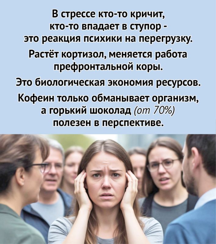 Почему мы устаем, забываем и впадаем в ступор? Ответы - в шести карточках Почему мы устаем, забываем и впадаем в ступор? Ответы - в шести карточках