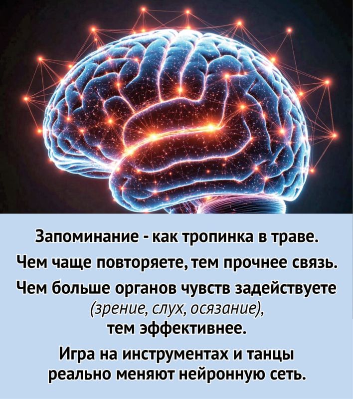 Почему мы устаем, забываем и впадаем в ступор? Ответы - в шести карточках Почему мы устаем, забываем и впадаем в ступор? Ответы - в шести карточках