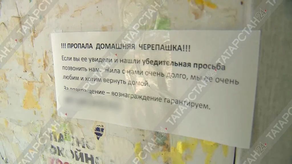 ВНИМАНИЕ, РОЗЫСК! Где Альбина?