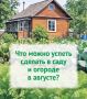 Что можно успеть сделать в саду и огороде в августе? Рассказываем в наших карточках