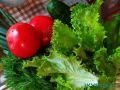 Как правильно мыть овощи: Мудрые советы ученого из КФУ