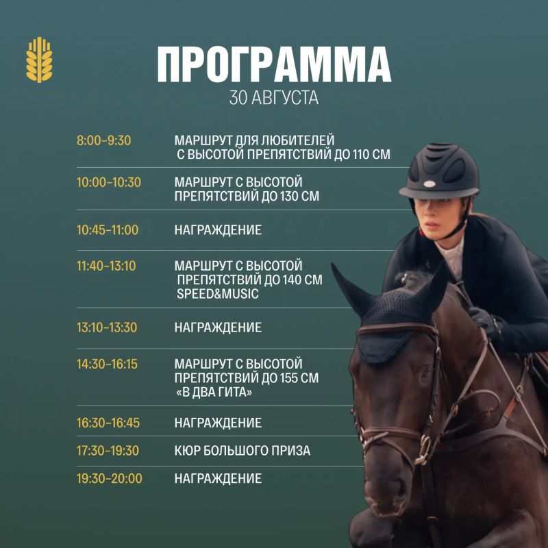 Два дня большого конного спорта на Казанском ипподроме Два дня большого конного спорта на Казанском ипподроме