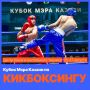Кросс, лоу-кик, блок. С 24 по 27 августа пройдет Кубок мэра Казани по кикбоксингу