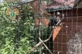 Прокуратура Нижнекамска провела проверку в зоопарке «Ноев ковчег» и выявила многочисленные нарушения, сообщает пресс-служба надзорного органа
