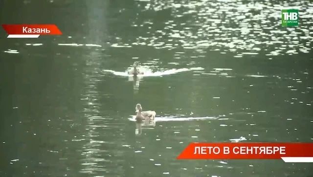 Сегодня, 24 августа, воздух в Татарстане прогреется до +28 градусов