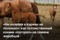 ��������������� �� ����������� ����� ������� �������� � 11 �������� �������������