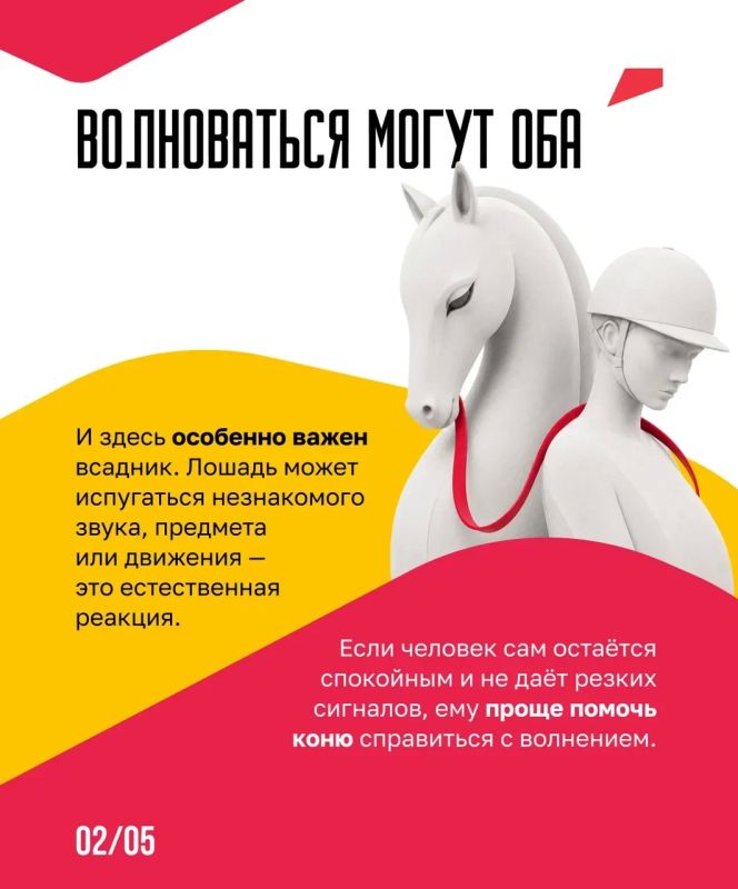 На Спартакиаде в Казани за медали борются не только спортсмены На Спартакиаде в Казани за медали борются не только спортсмены