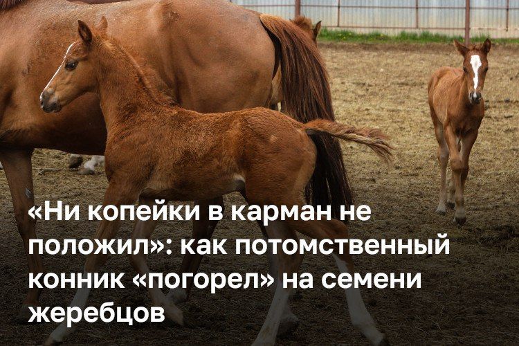 Замгендиректора ХК «Чистополье» Ивана Шугаева обвиняют в 11 эпизодах мошенничества