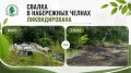 В Набережных Челнах ликвидирована свалка