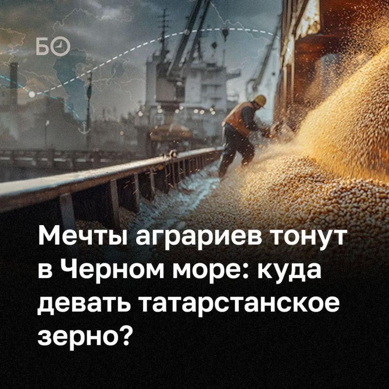 Экспорт российского зерна фактически встал после атак беспилотников на танкеры в Азовском море и три крупнейших зерновых терминала Новороссийска