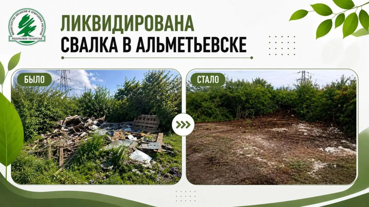 В Альметьевске ликвидирована свалка площадью более 300 кв. м