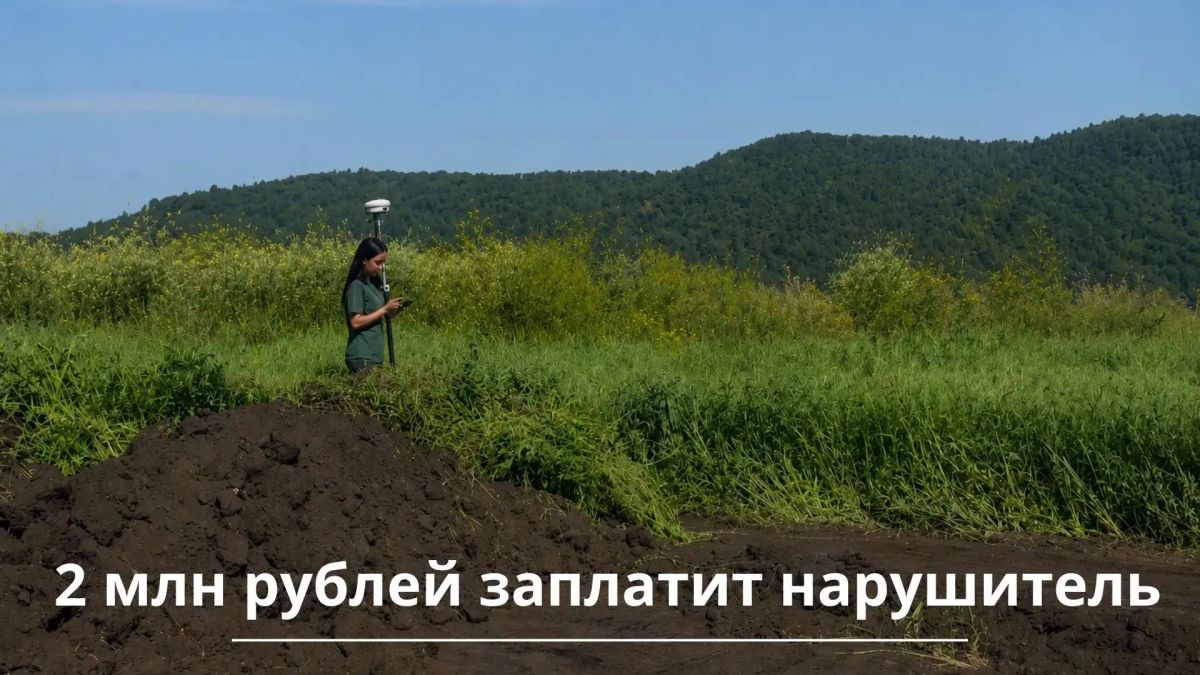 Почти 2 млн рублей заплатит нарушитель за незаконное снятие плодородного слоя почвы в Альметьевском районе