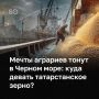Экспорт российского зерна фактически встал после атак беспилотников на танкеры в Азовском море и три крупнейших зерновых терминала Новороссийска