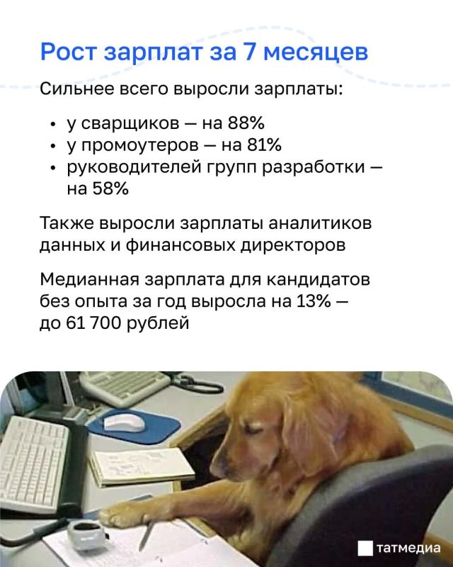 Конец зарплатной гонки: что происходит на рынке труда Татарстана Конец зарплатной гонки: что происходит на рынке труда Татарстана