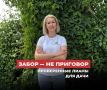Скрыть забор и спастись от зноя: четыре вьющихся растения для приватности на даче