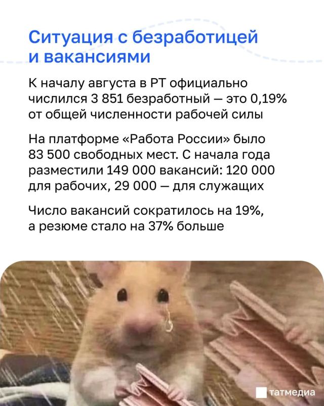Конец зарплатной гонки: что происходит на рынке труда Татарстана Конец зарплатной гонки: что происходит на рынке труда Татарстана