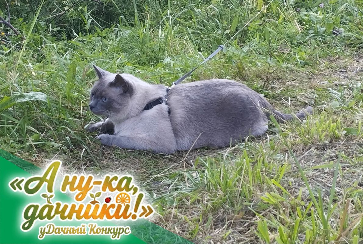 Приветствуем уважаемых зрителей, подписчиков и участников нашего конкурса! Приветствуем уважаемых зрителей, подписчиков и участников нашего конкурса!