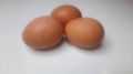 Почему яйца не стоит сочетать с некоторыми продуктами: важные советы для здоровья