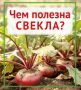 Чем полезна свекла? Рассказываем в карточках от «КВ»