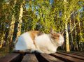 Как провели первый осенний день? Делитесь в комментариях