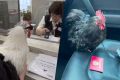 Кур в МФЦ нести не надо: что изменилось с 1 сентября