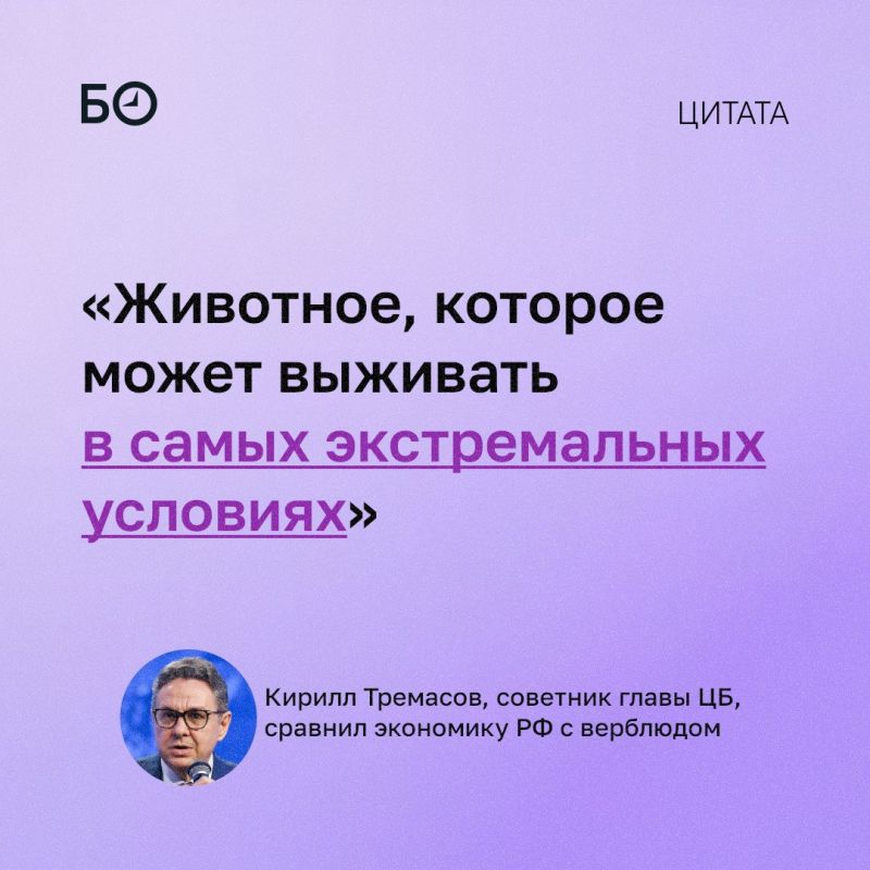 Российская экономика по своей устойчивости напоминает верблюда, считает советник главы ЦБ Кирилл Тремасов