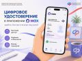Цифровое удостоверение в приложении Макс: удобно, быстро и всегда под рукой