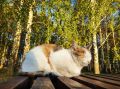 Как провели первый осенний день? Делитесь в комментариях
