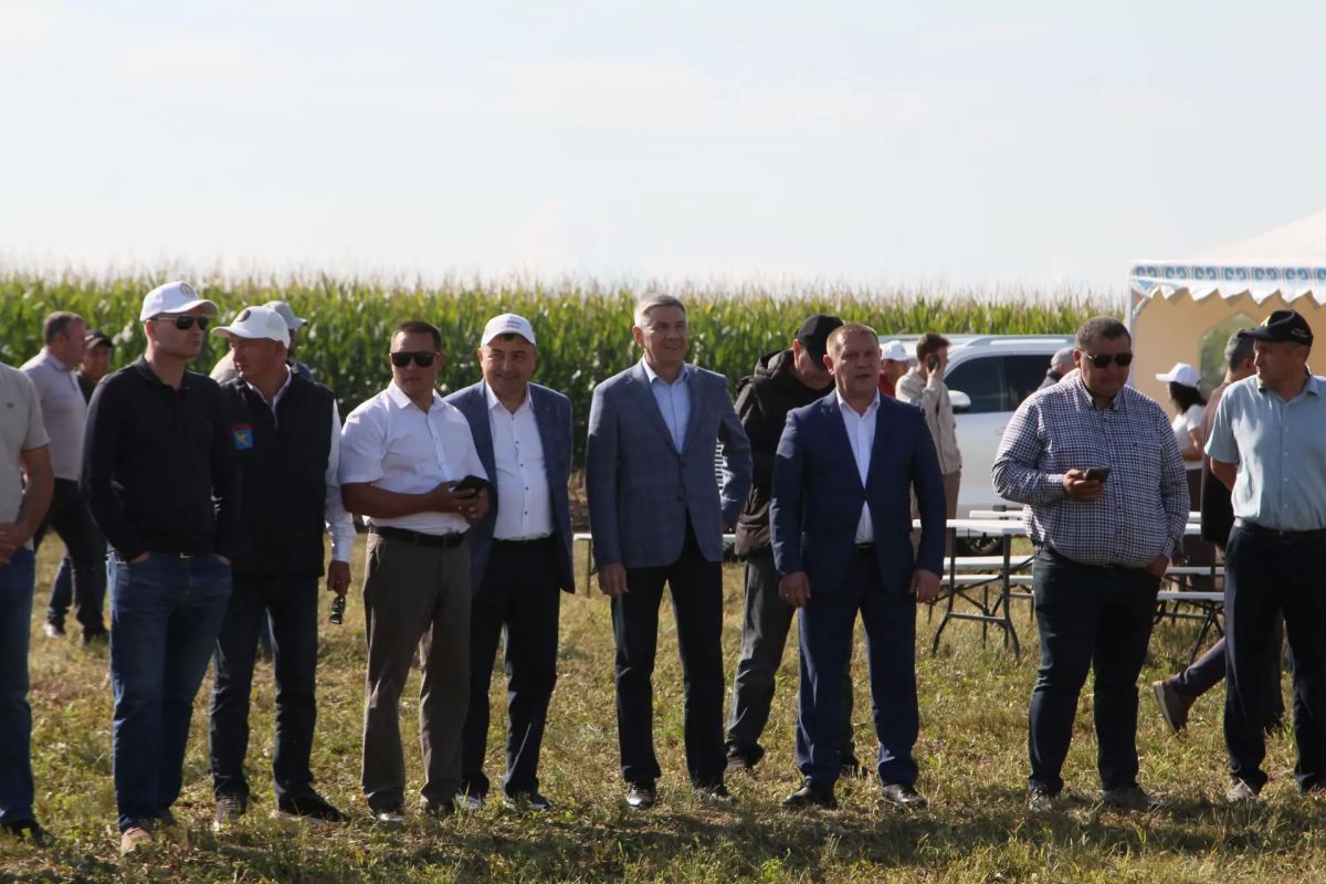Что у коровы в рационе, то и в надоях