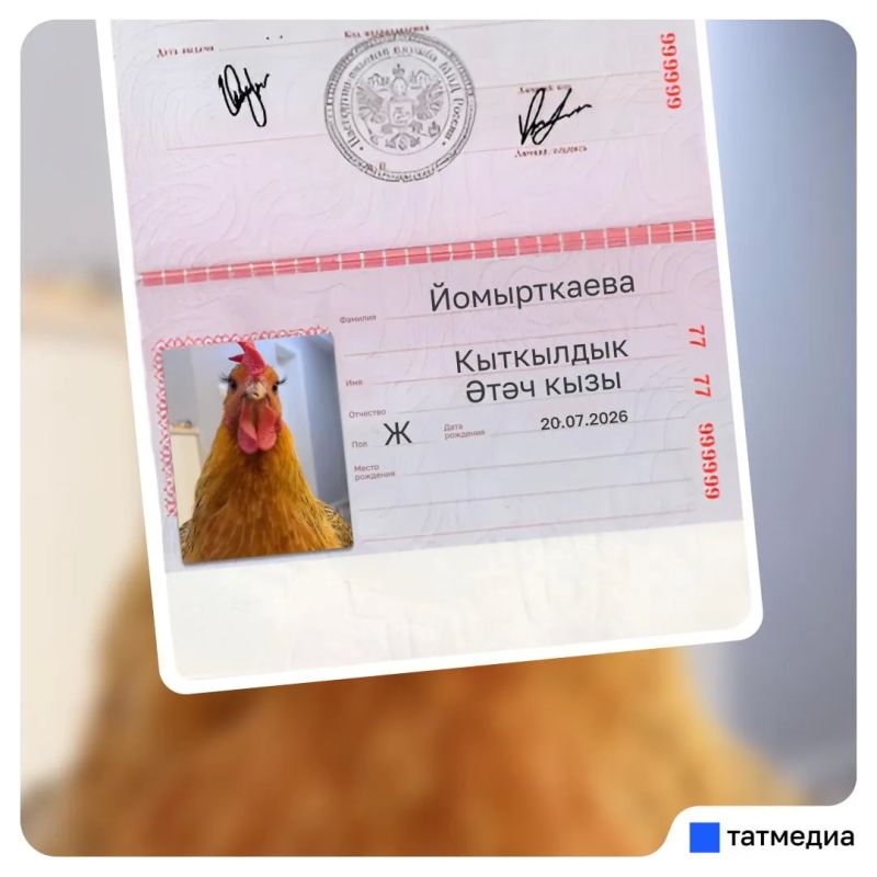 Кто уже повел куриц в МФЦ? Кто уже повел куриц в МФЦ?