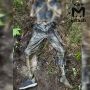 Полиция нашла под Челнами скелет с дырой в черепе