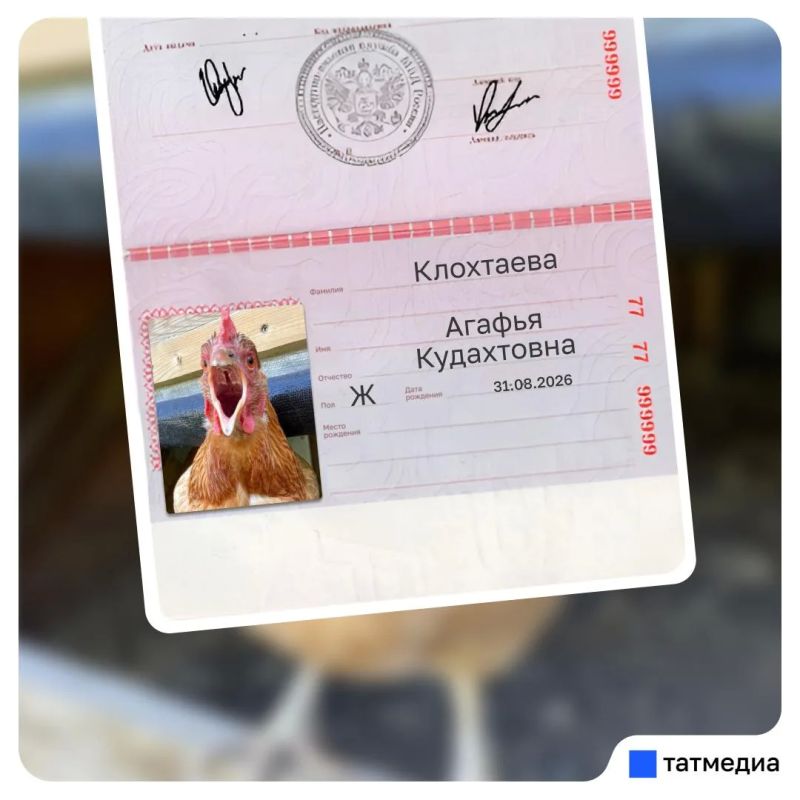 Кто уже повел куриц в МФЦ? Кто уже повел куриц в МФЦ?