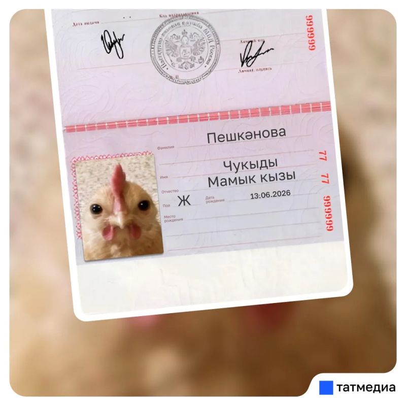 Кто уже повел куриц в МФЦ? Кто уже повел куриц в МФЦ?