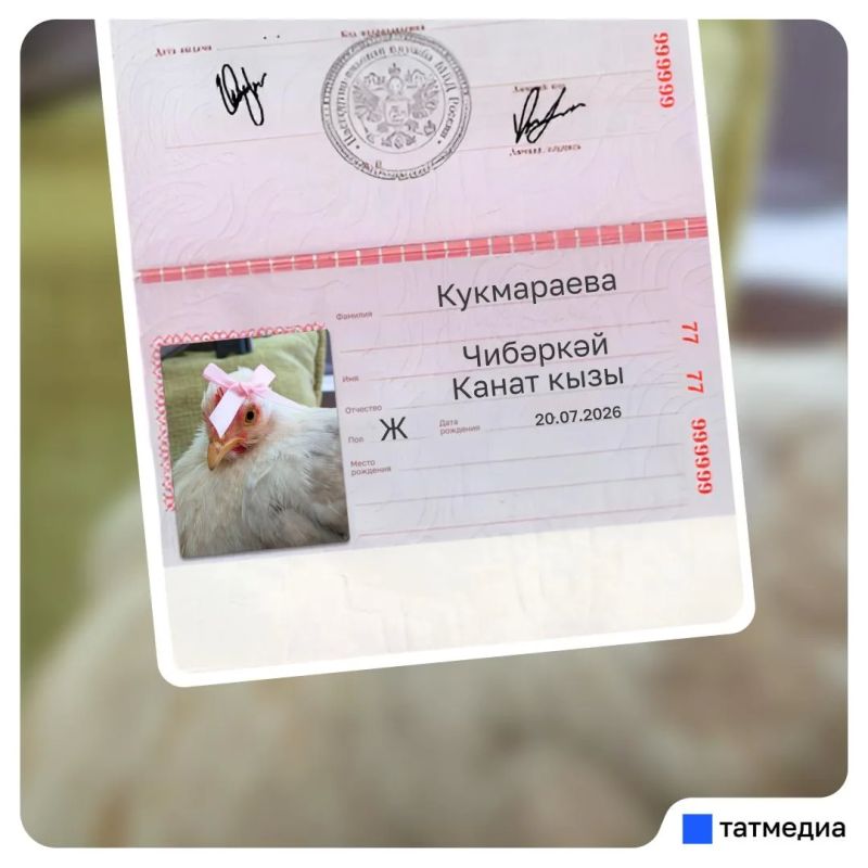 Кто уже повел куриц в МФЦ? Кто уже повел куриц в МФЦ?