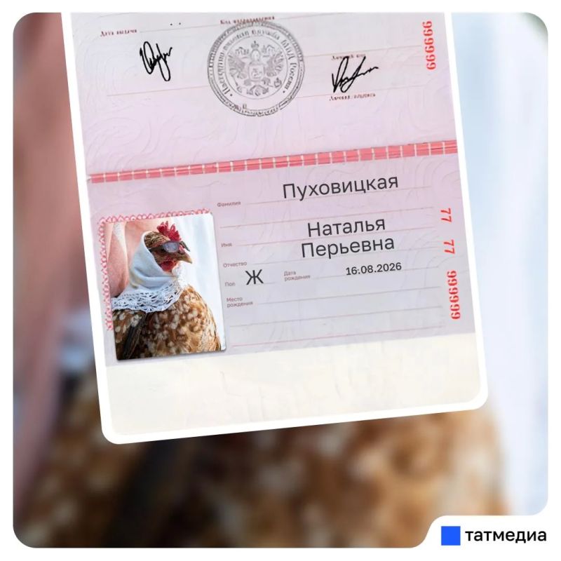 Кто уже повел куриц в МФЦ? Кто уже повел куриц в МФЦ?