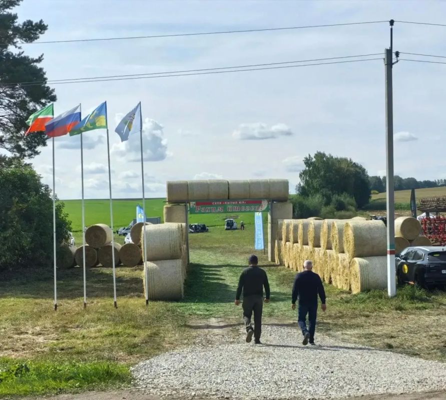 Большие надои начинаются с правильного силоса: в Балтасях обсудили стратегию кормозаготовки Большие надои начинаются с правильного силоса: в Балтасях обсудили стратегию кормозаготовки