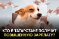 Зарплата в сентябре у некоторых татарстанцев будет выше
