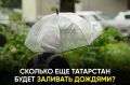 Осень началась – и вместе с ней в республику пришли дожди