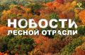 ТАСС: В Красноярском крае площадь лесных пожаров за сутки сократилась в 10 раз