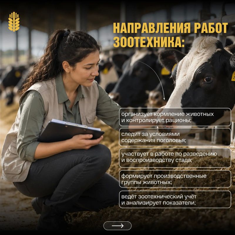 Профессии в АПК: кто отвечает за продуктивность и здоровье стада? Профессии в АПК: кто отвечает за продуктивность и здоровье стада?