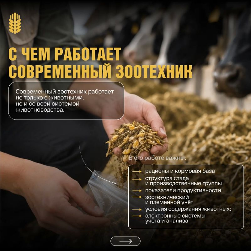 Профессии в АПК: кто отвечает за продуктивность и здоровье стада? Профессии в АПК: кто отвечает за продуктивность и здоровье стада?