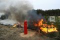 В Татарстане с начала года лесных пожаров не допущено