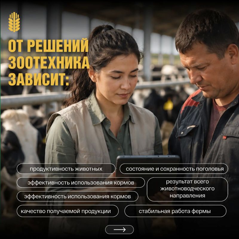 Профессии в АПК: кто отвечает за продуктивность и здоровье стада? Профессии в АПК: кто отвечает за продуктивность и здоровье стада?